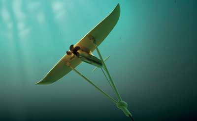 Meeresströmung, Gezeiten, Energiegewinnung, erneuerbare Energien, EagleBurgmann, Gleitringdichtungen, Windkraft, Windkraft unter Wasser